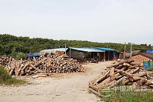 海南儋州多部门联合执法6家木材加工厂被依法查封